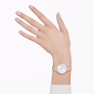 Laikrodžiai Swarovski Imber 5713883